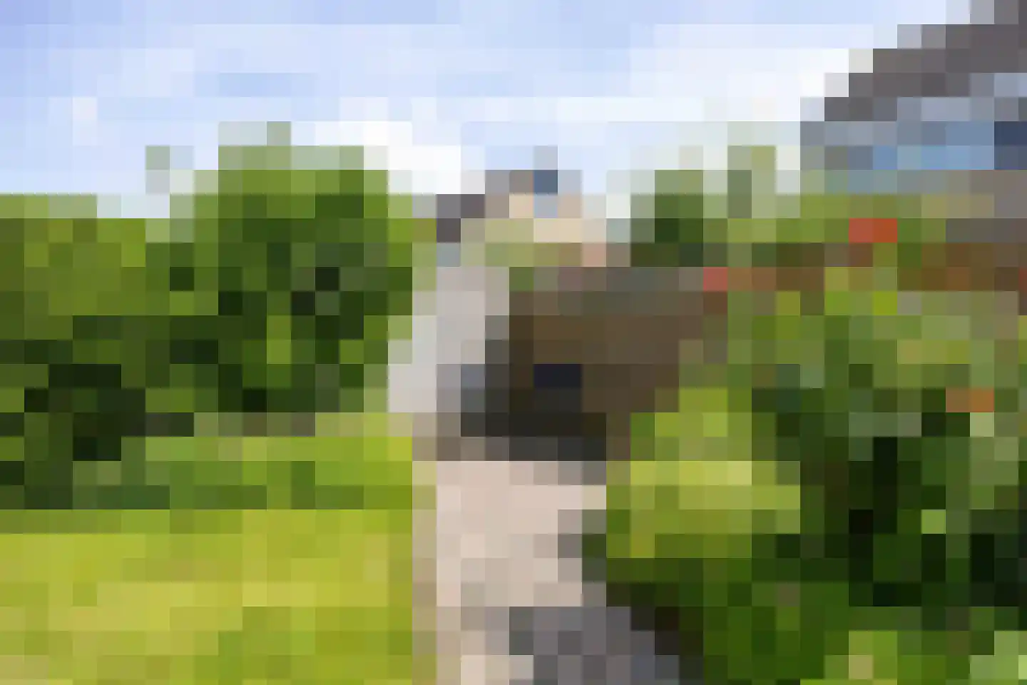 Farmsumerzijl 15 Farmsum thumbnail 41