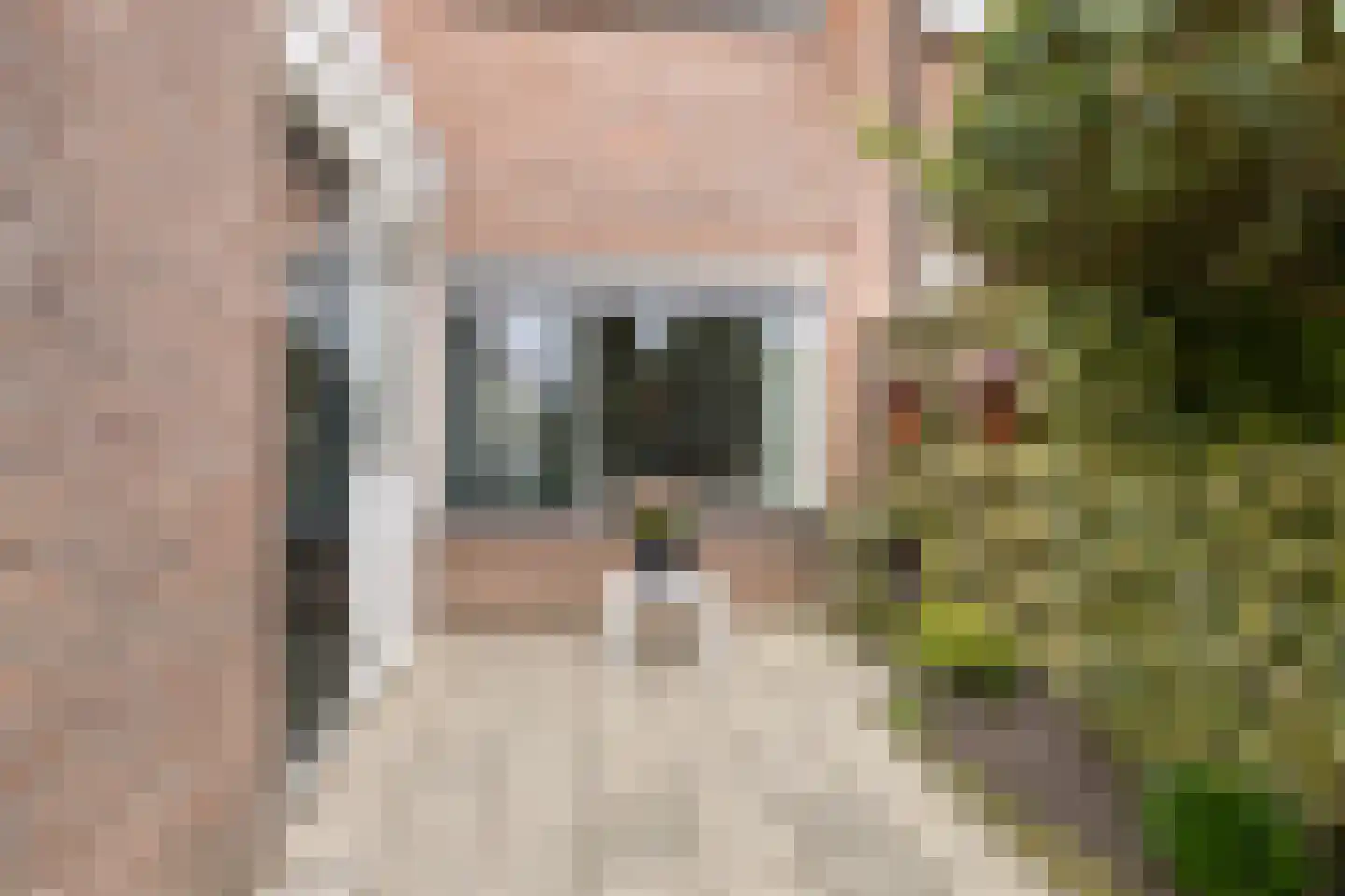 Farniastate 15 Leeuwarden thumbnail 34