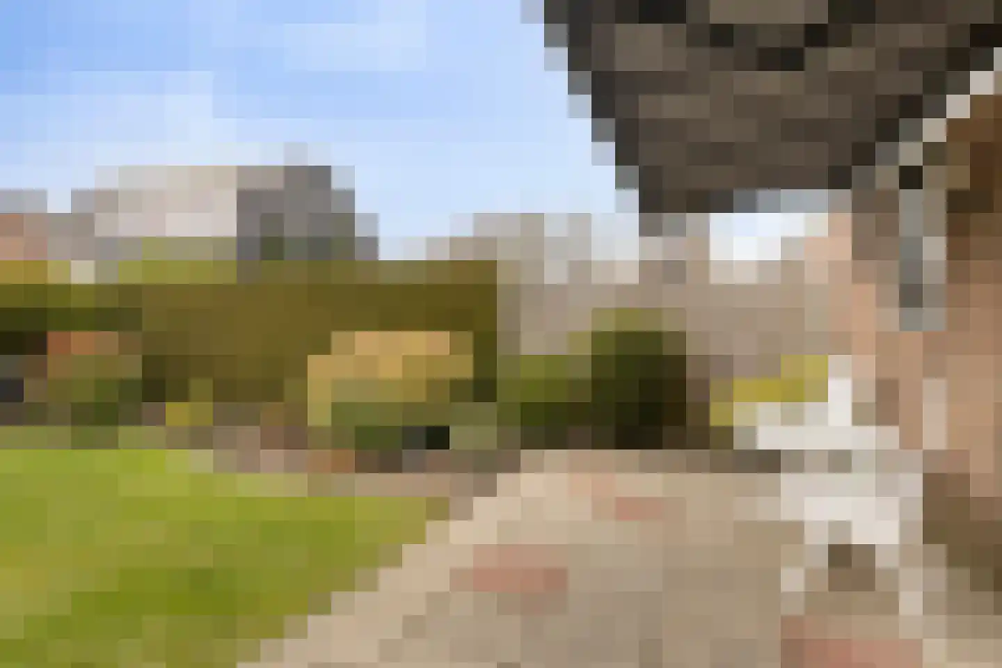 Farniastate 15 Leeuwarden thumbnail 37