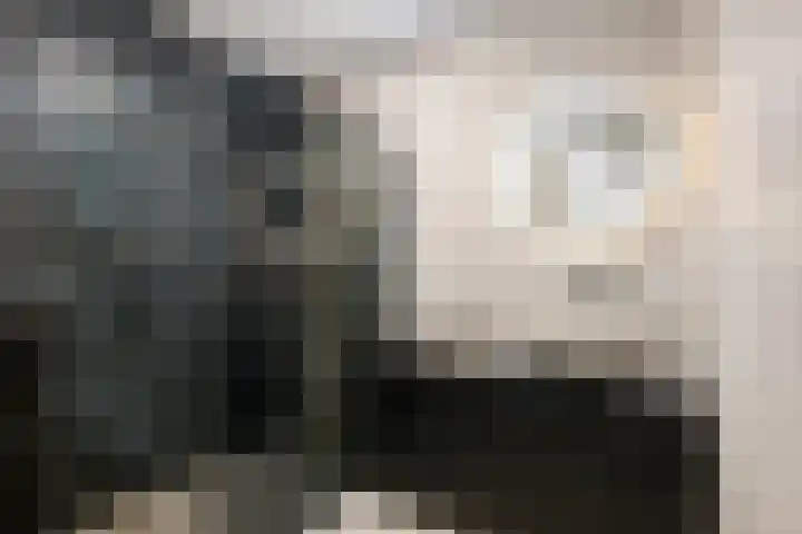 Fascinatio Boulevard 1020 Capelle aan den IJssel thumbnail 17