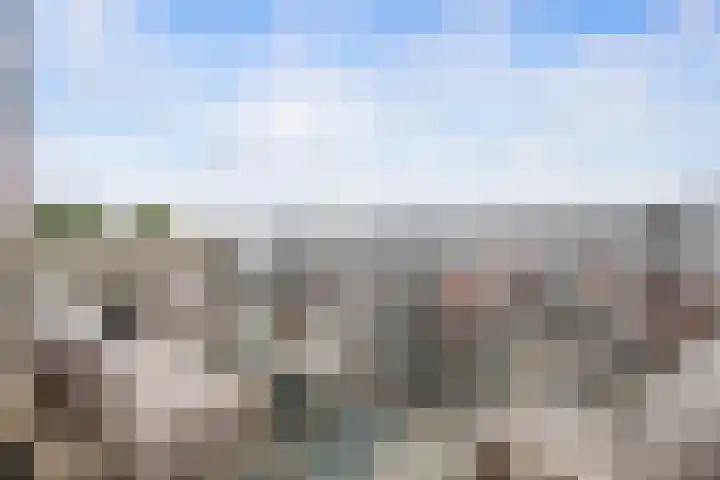 Fascinatio Boulevard 1020 Capelle aan den IJssel thumbnail 20