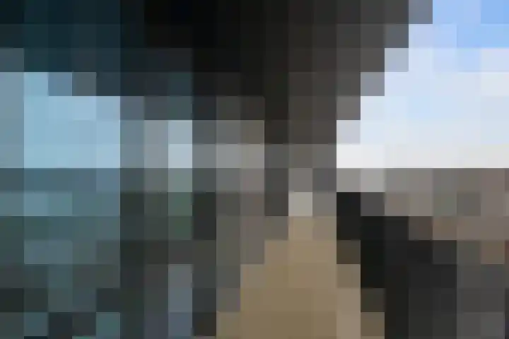 Fascinatio Boulevard 1020 Capelle aan den IJssel thumbnail 22