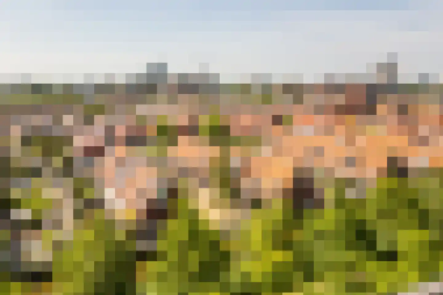 Fascinatio Boulevard 1030 Capelle aan den IJssel thumbnail 26
