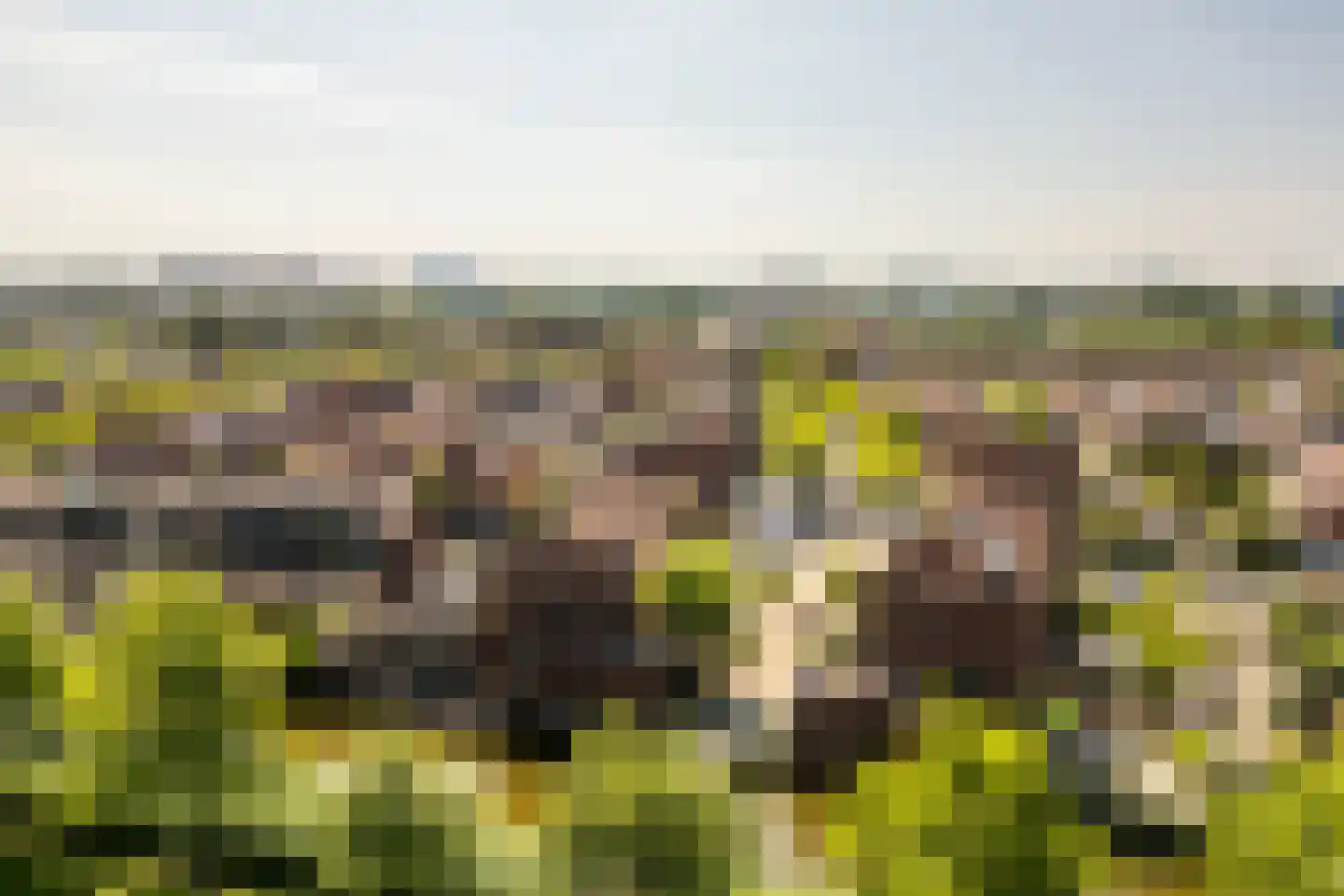 Fascinatio Boulevard 1030 Capelle aan den IJssel thumbnail 27