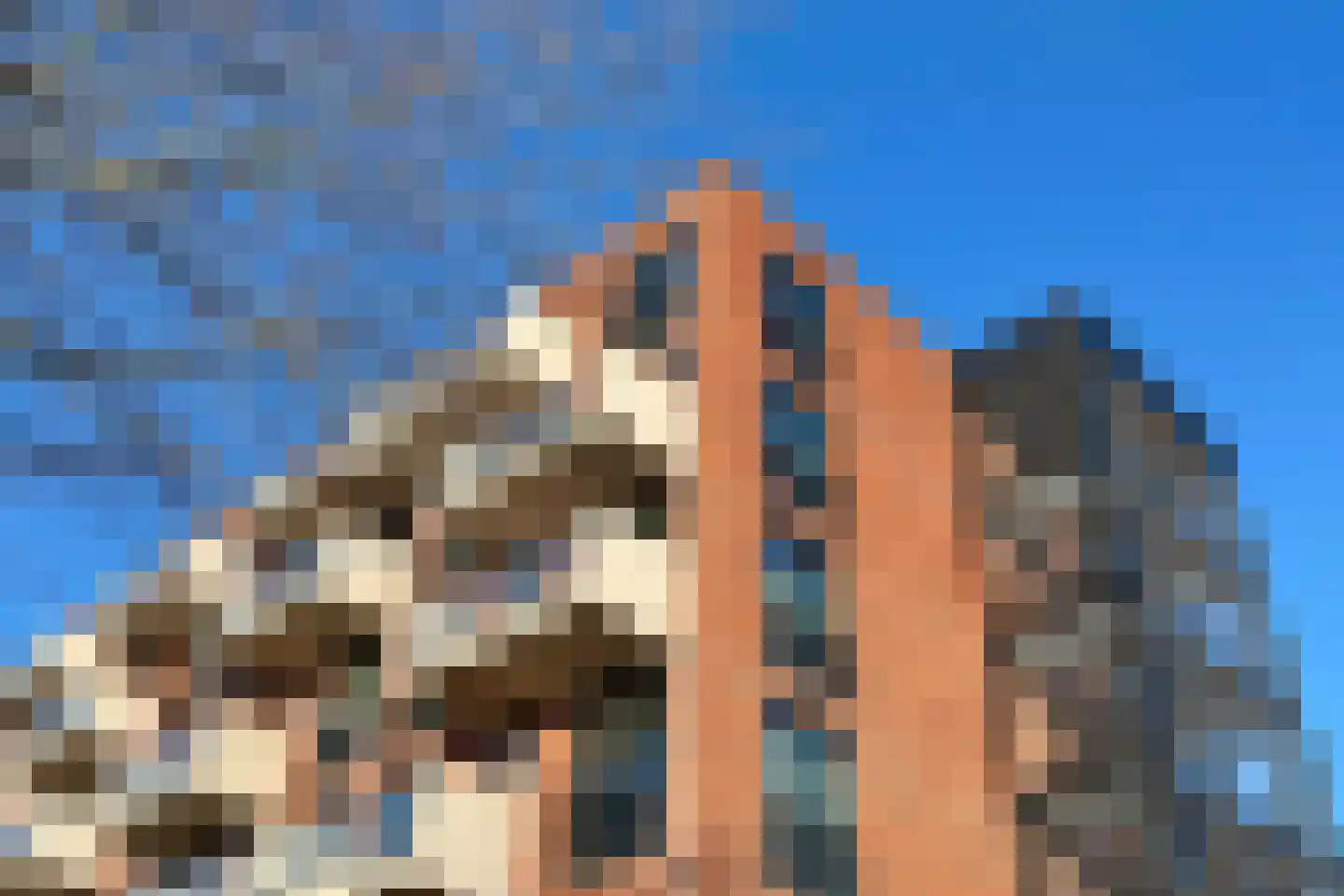 Fascinatio Boulevard 1030 Capelle aan den IJssel thumbnail 38