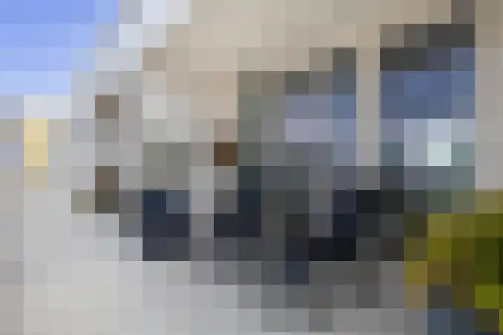 Fascinatio Boulevard 706 J Capelle aan den IJssel thumbnail 7