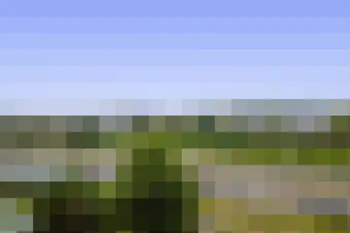 Fascinatio Boulevard 706 J Capelle aan den IJssel thumbnail 8