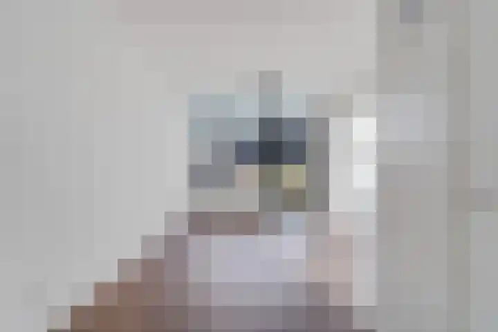 Fascinatio Boulevard 886 F Capelle aan den IJssel thumbnail 20