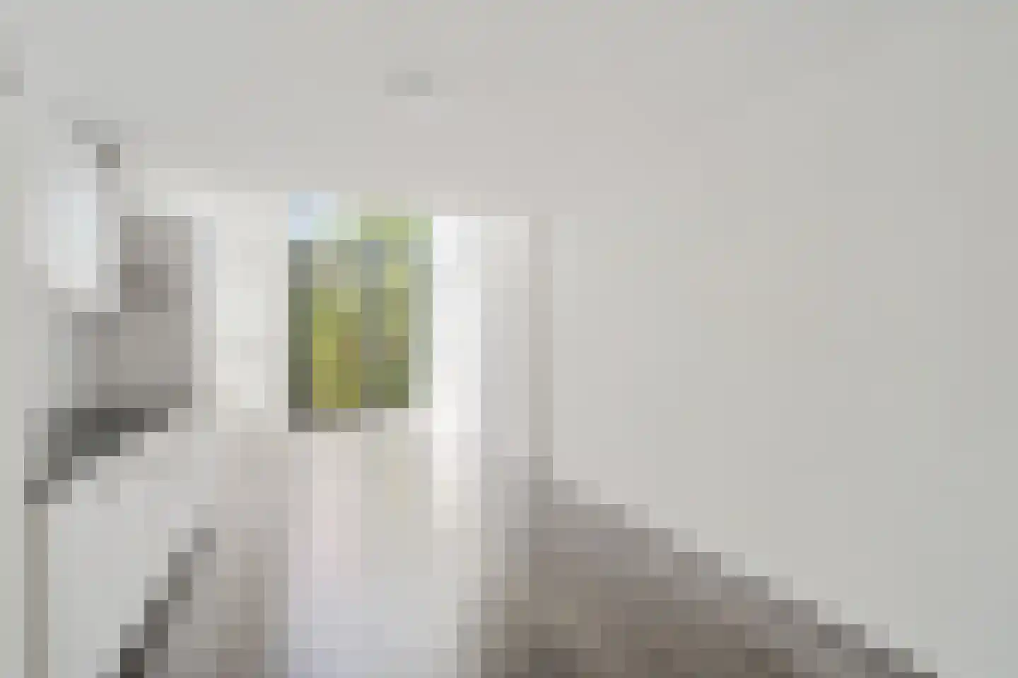 Fascinatio Boulevard 946 L Capelle aan den IJssel thumbnail 8