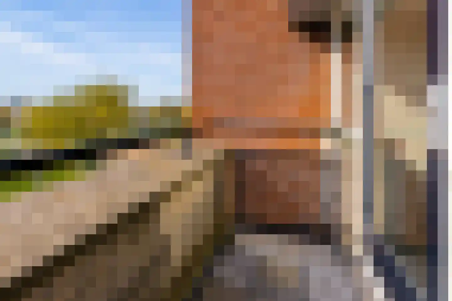 Fassbinderstraat 56 Almere thumbnail 46