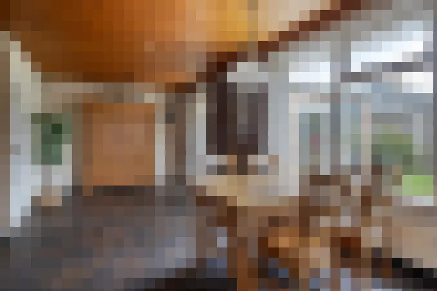 Father Raatgerstraat 20 Rossum thumbnail 10