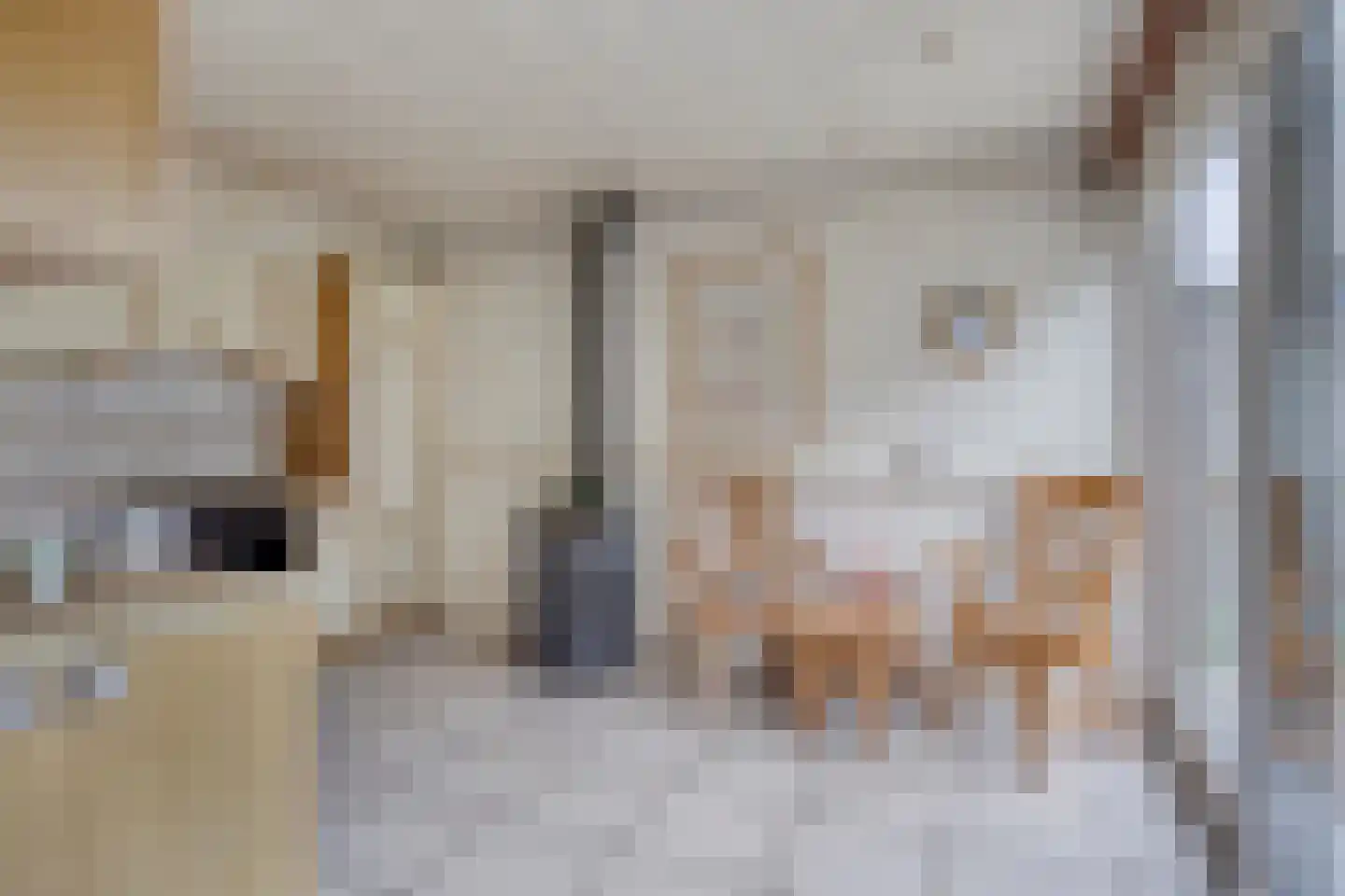 Father Raatgerstraat 20 Rossum thumbnail 12