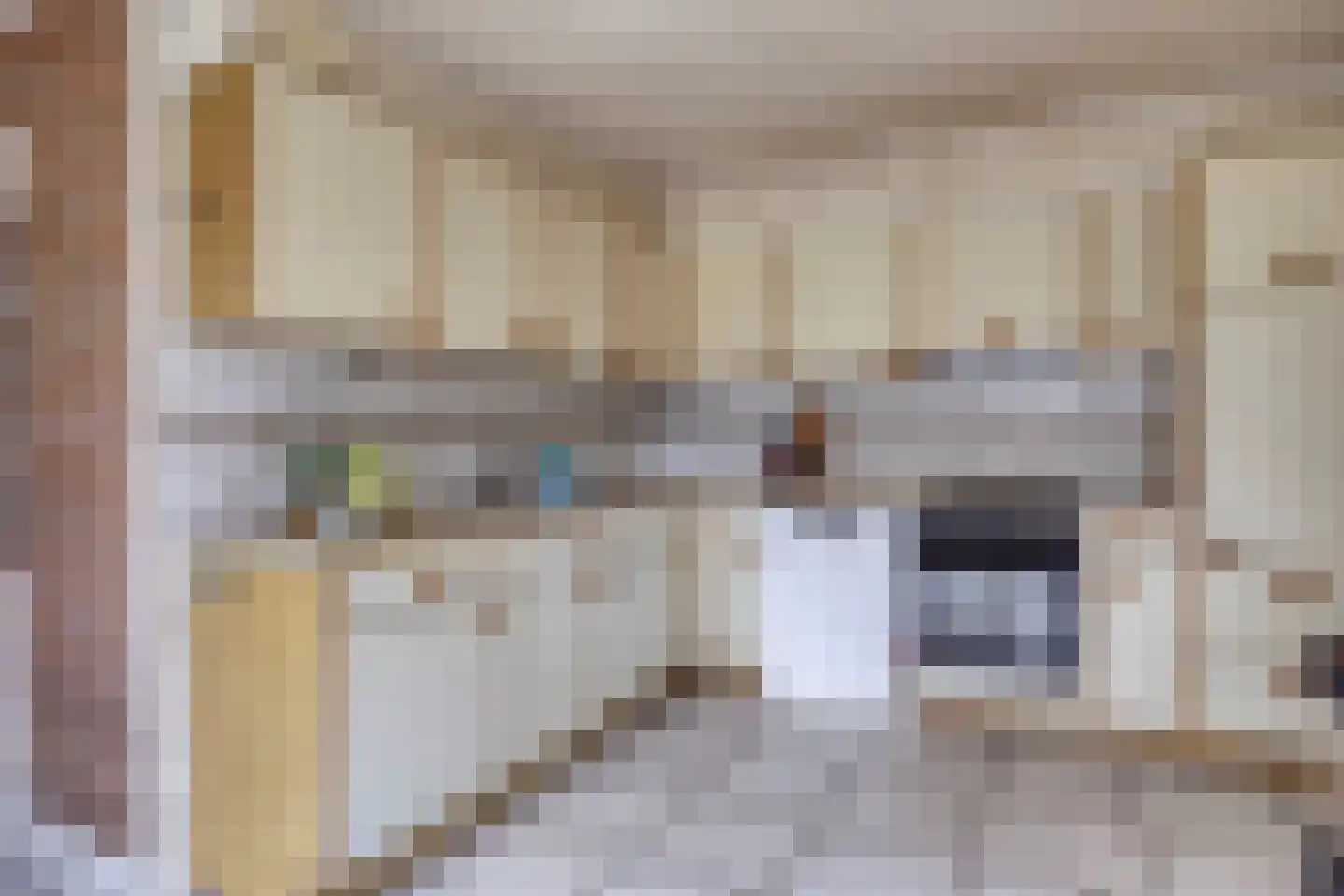 Father Raatgerstraat 20 Rossum thumbnail 13