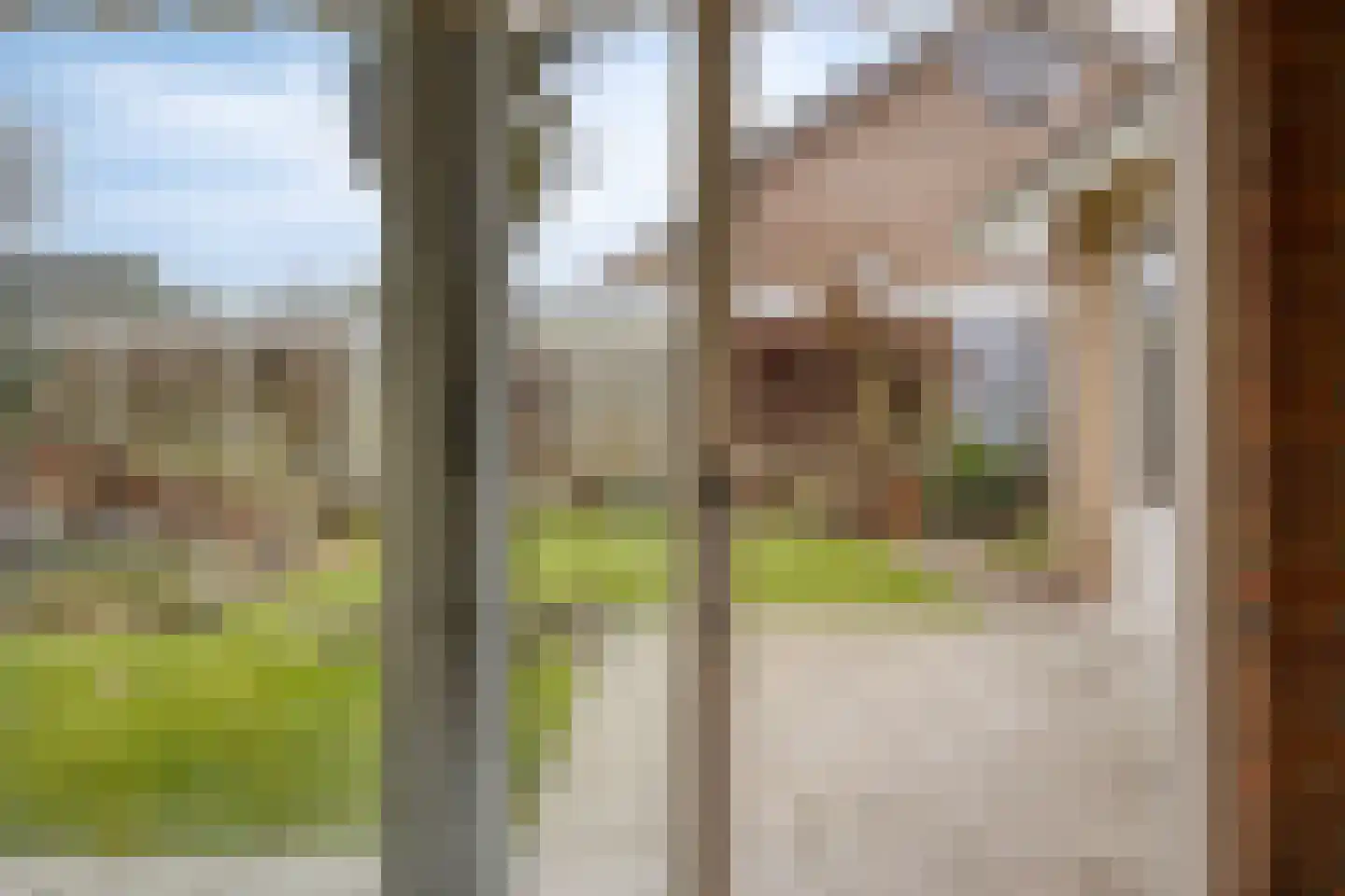 Father Raatgerstraat 20 Rossum thumbnail 16