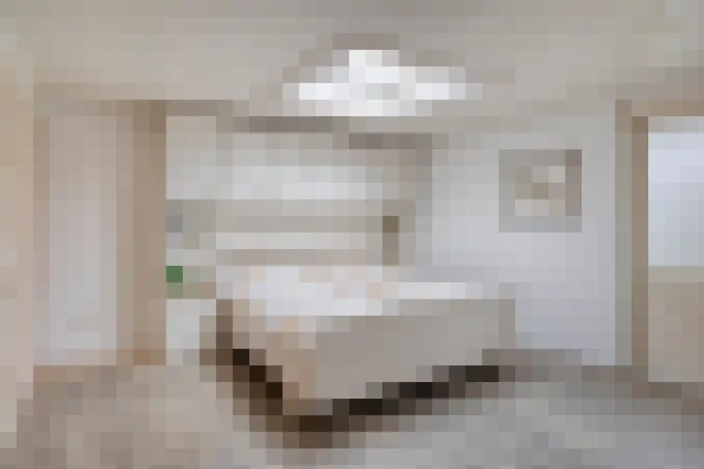 Father Raatgerstraat 20 Rossum thumbnail 18