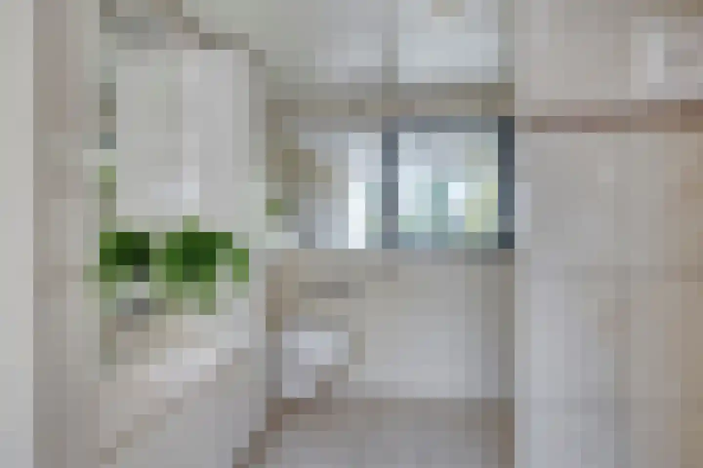 Father Raatgerstraat 20 Rossum thumbnail 20