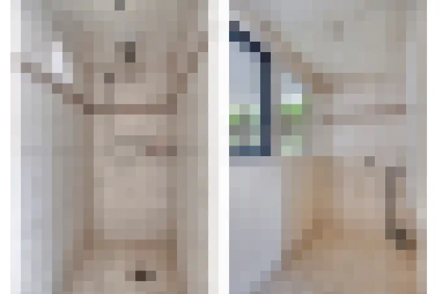 Father Raatgerstraat 20 Rossum thumbnail 21