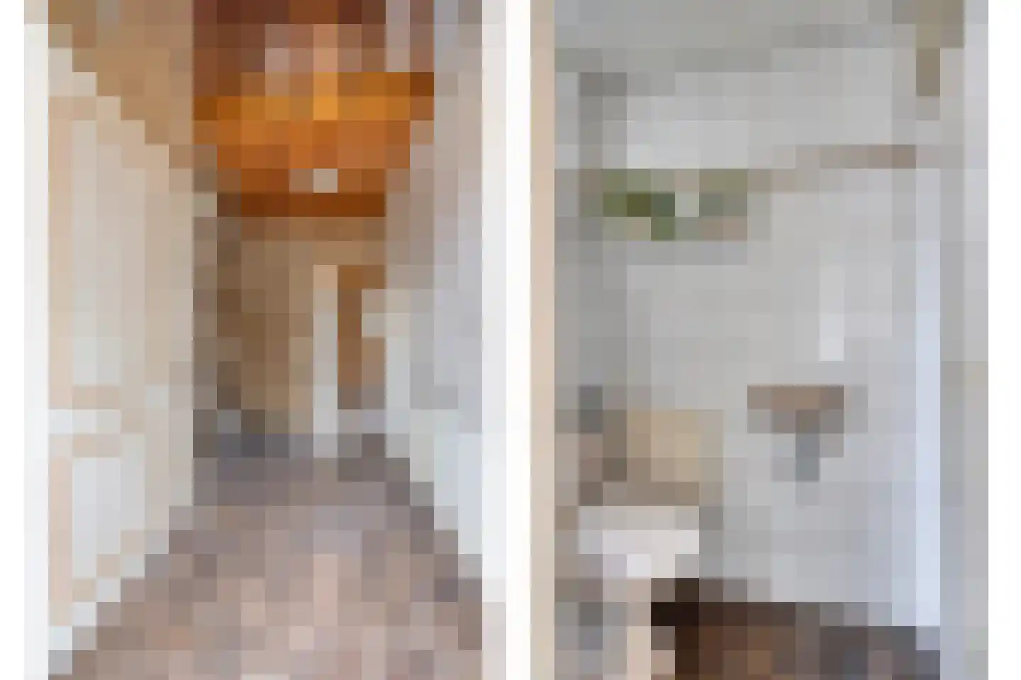 Father Raatgerstraat 20 Rossum thumbnail 22