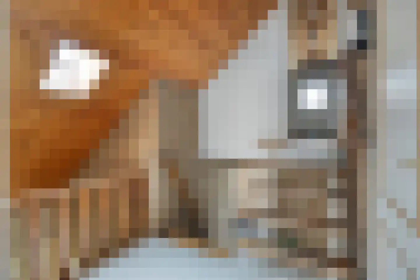 Father Raatgerstraat 20 Rossum thumbnail 29