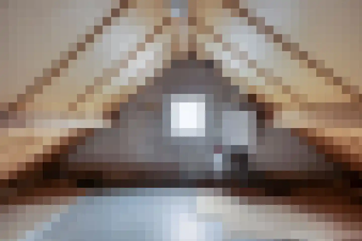Father Raatgerstraat 20 Rossum thumbnail 34