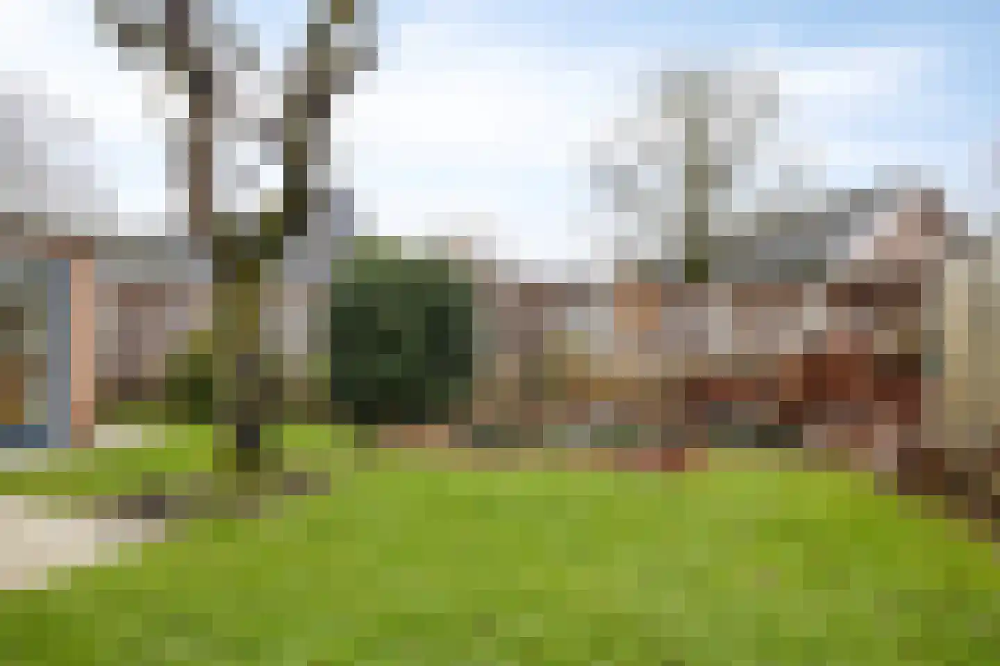 Father Raatgerstraat 20 Rossum thumbnail 36
