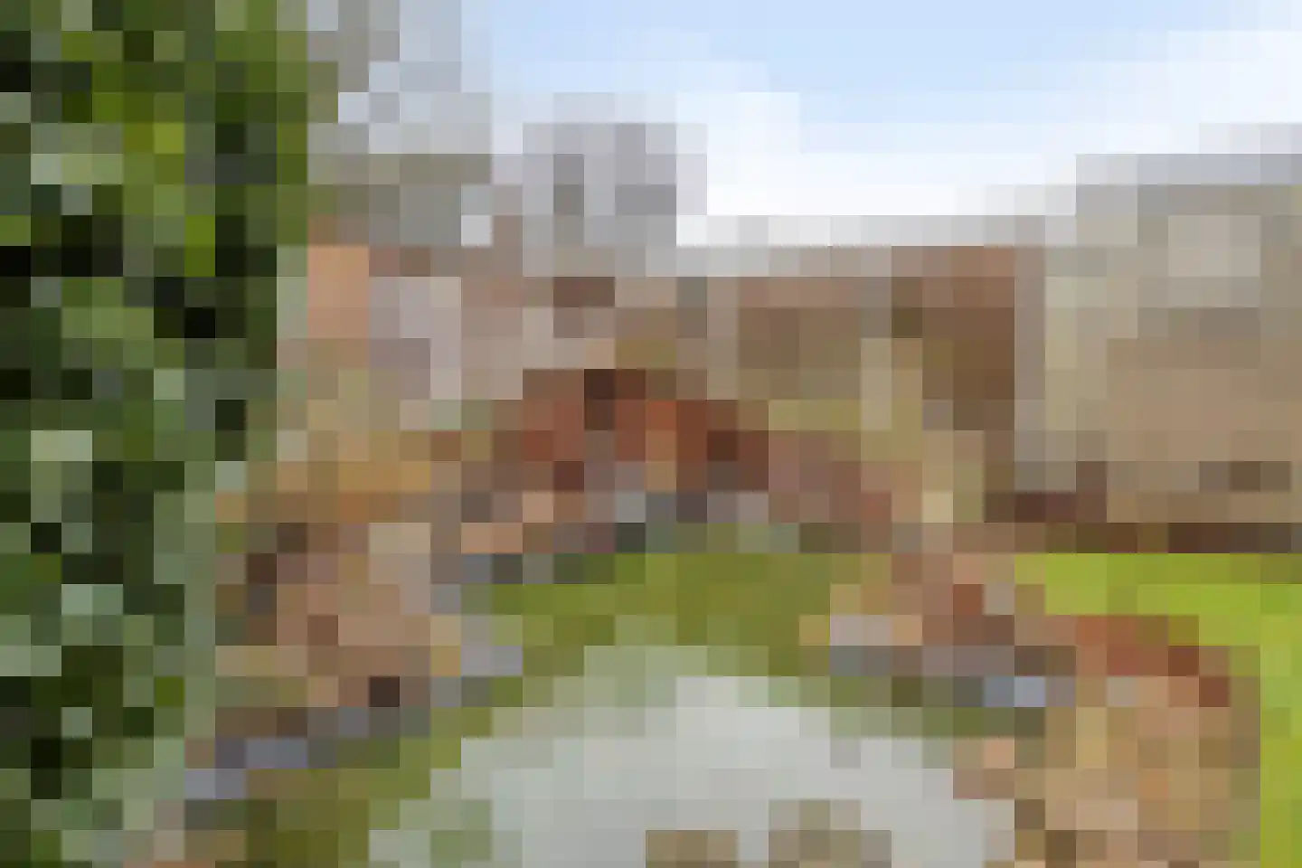 Father Raatgerstraat 20 Rossum thumbnail 37