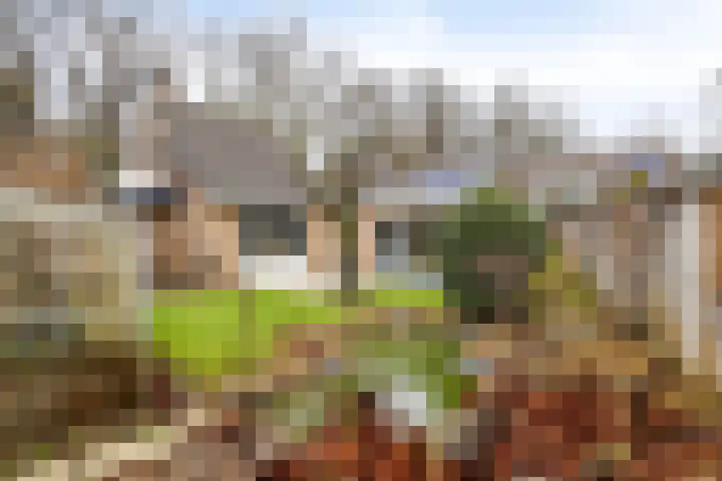 Father Raatgerstraat 20 Rossum thumbnail 38