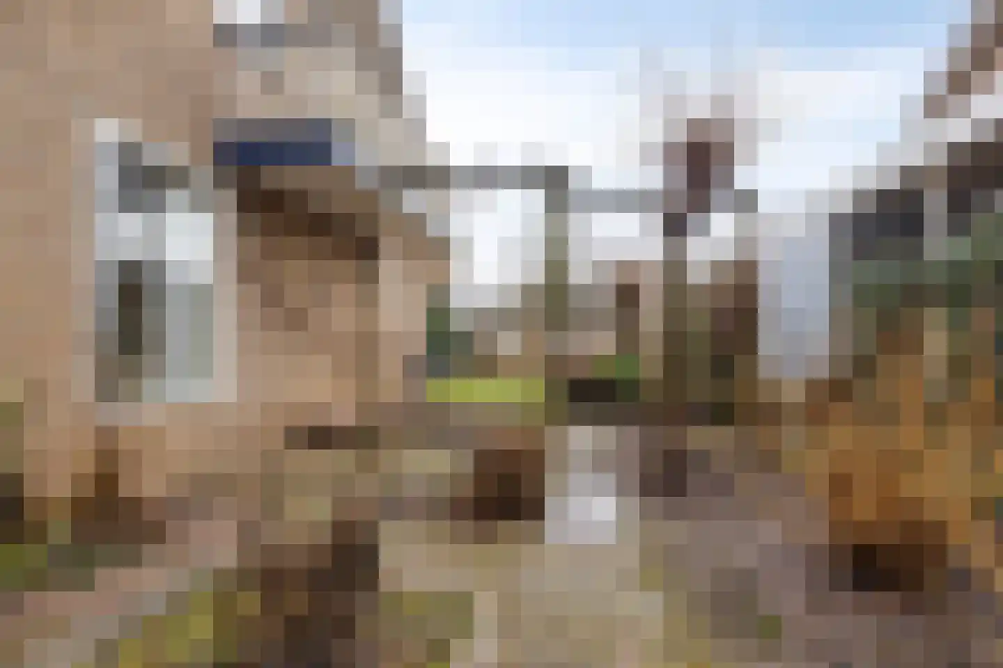 Father Raatgerstraat 20 Rossum thumbnail 39