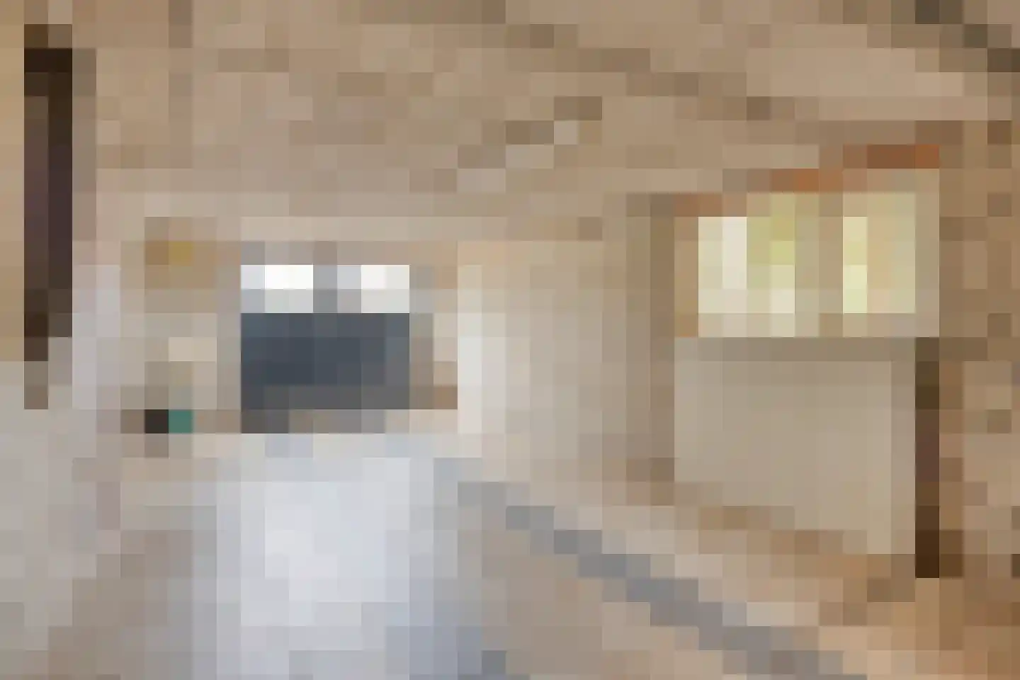 Father Raatgerstraat 20 Rossum thumbnail 43