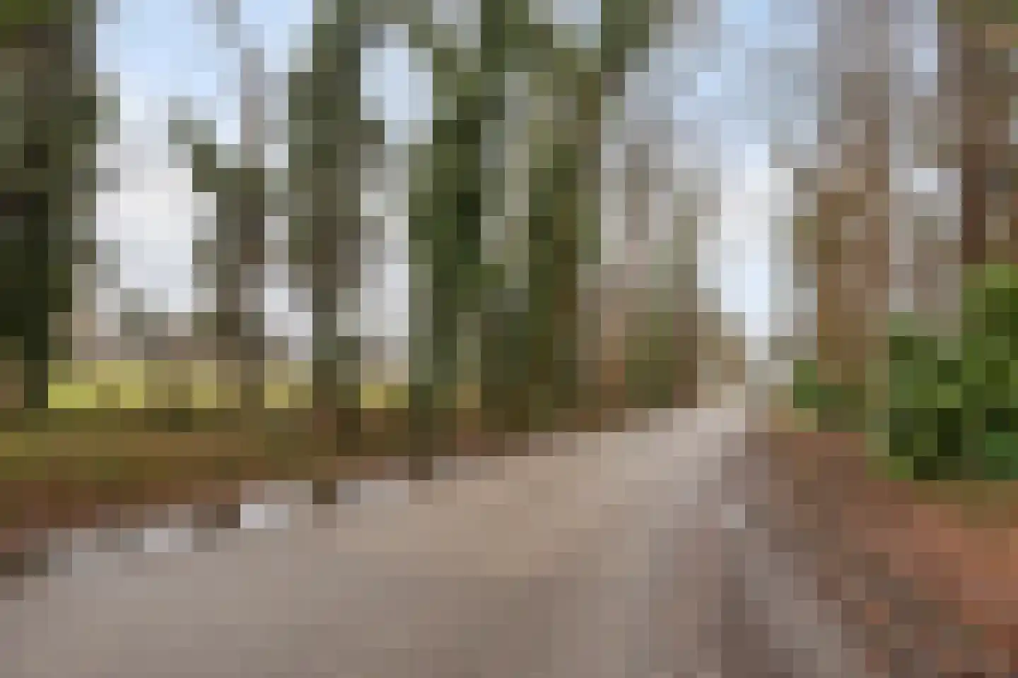 Father Raatgerstraat 20 Rossum thumbnail 47