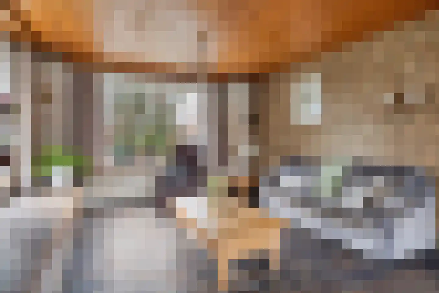 Father Raatgerstraat 20 Rossum thumbnail 5