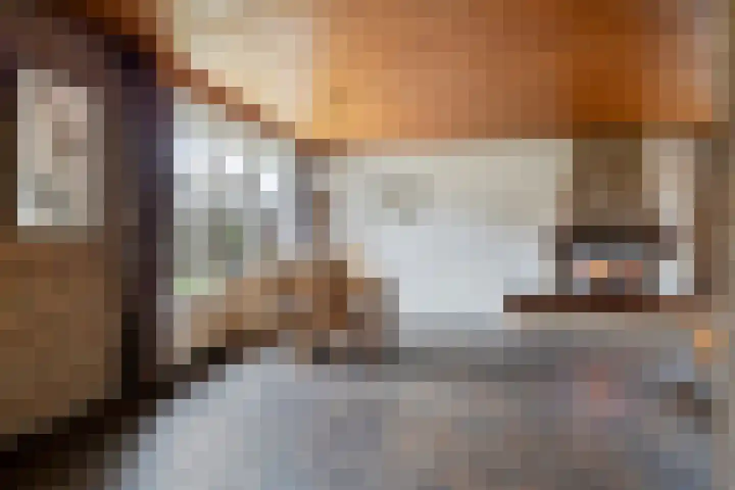 Father Raatgerstraat 20 Rossum thumbnail 7