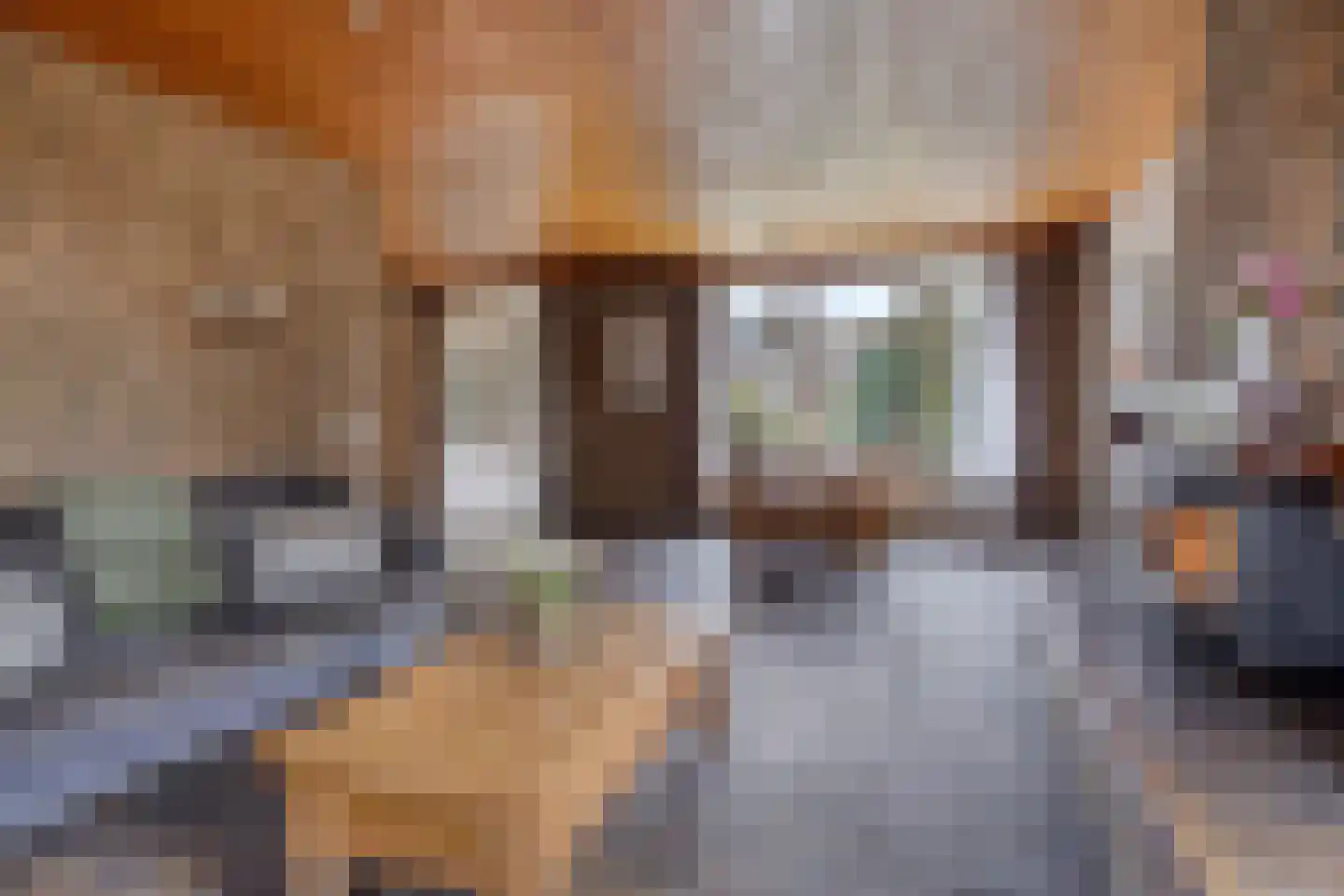 Father Raatgerstraat 20 Rossum thumbnail 8