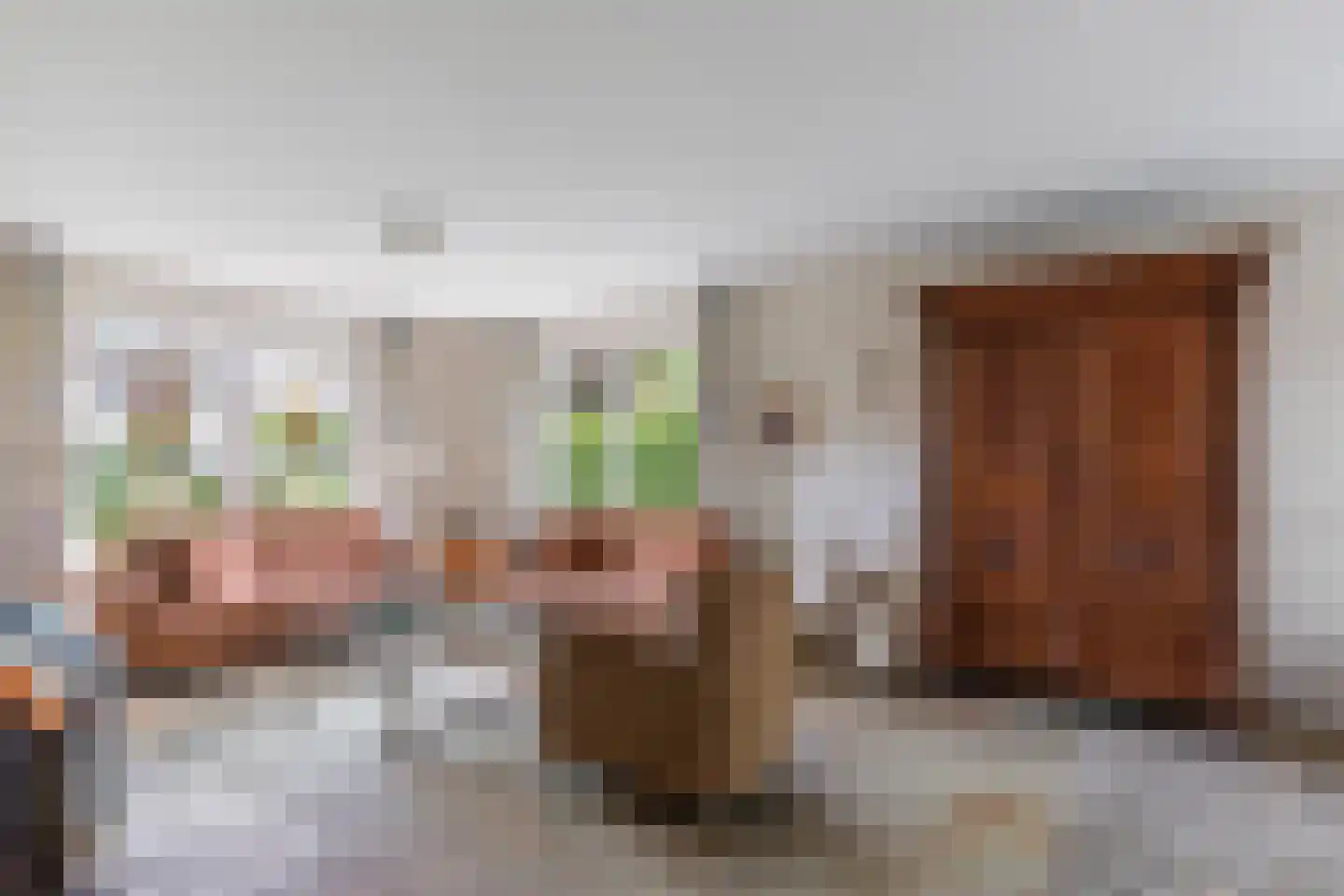 Father Raatgerstraat 7 Rossum thumbnail 10