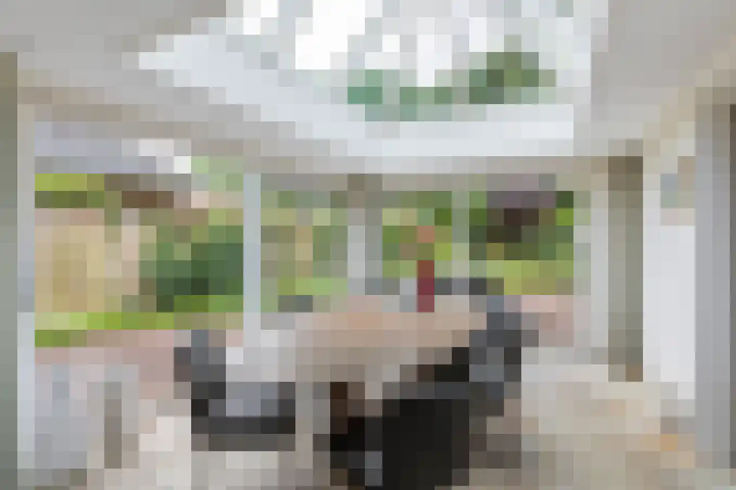 Father Raatgerstraat 7 Rossum thumbnail 15