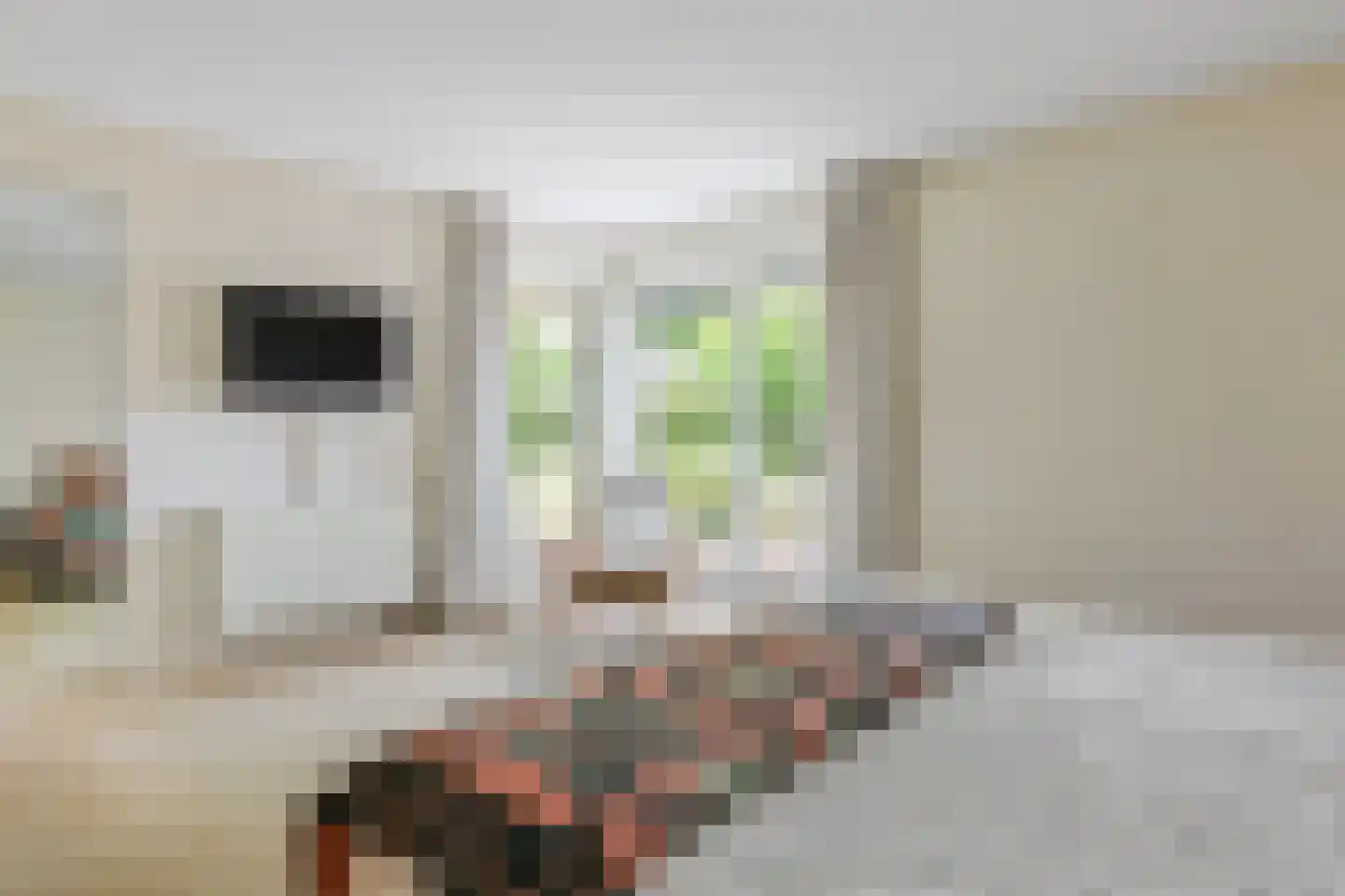 Father Raatgerstraat 7 Rossum thumbnail 16