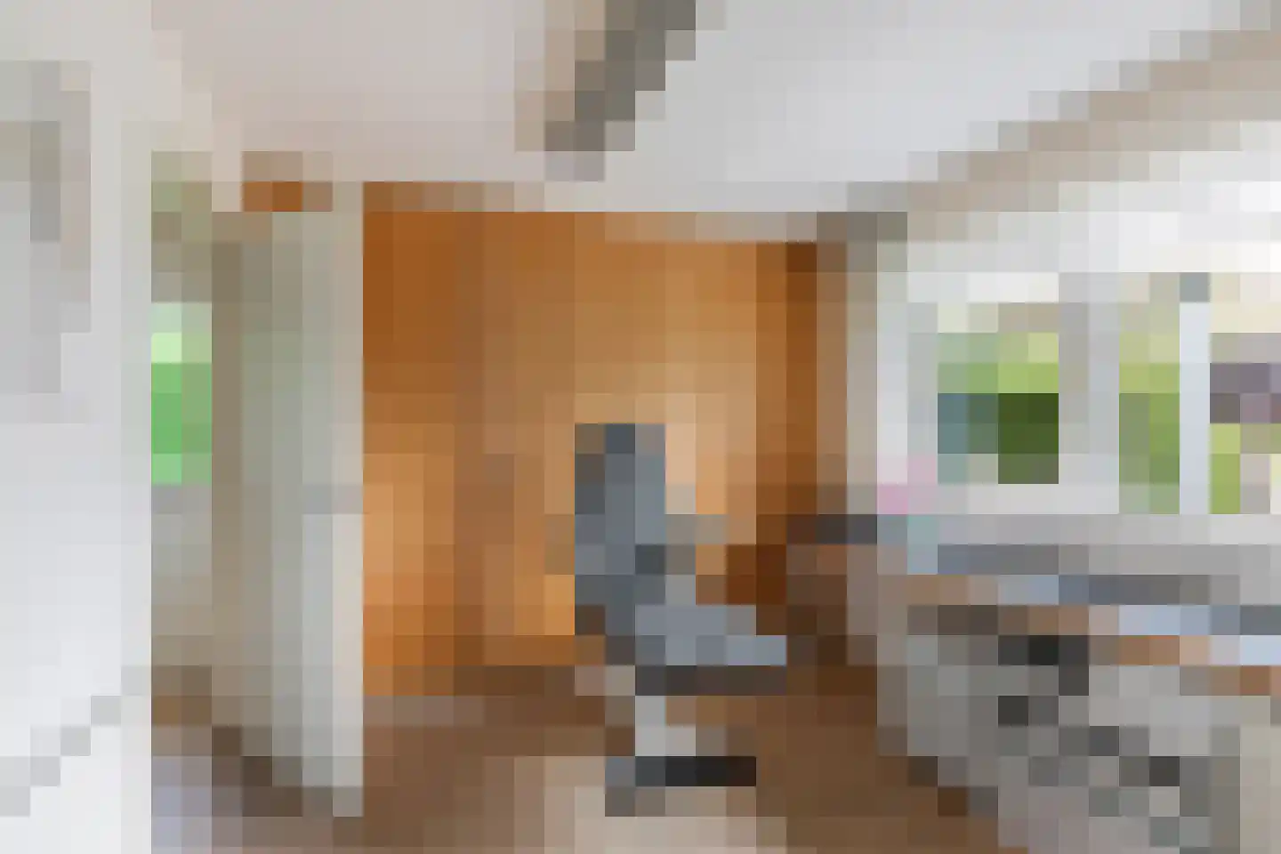 Father Raatgerstraat 7 Rossum thumbnail 19