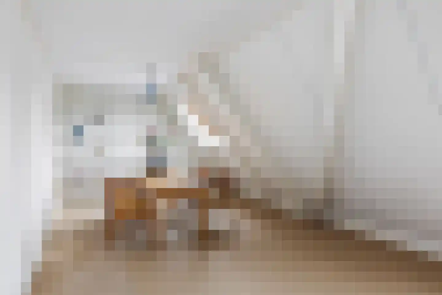 Father Raatgerstraat 7 Rossum thumbnail 22