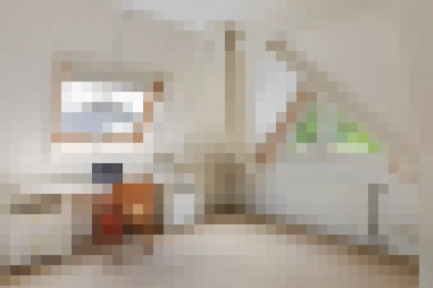 Father Raatgerstraat 7 Rossum thumbnail 23