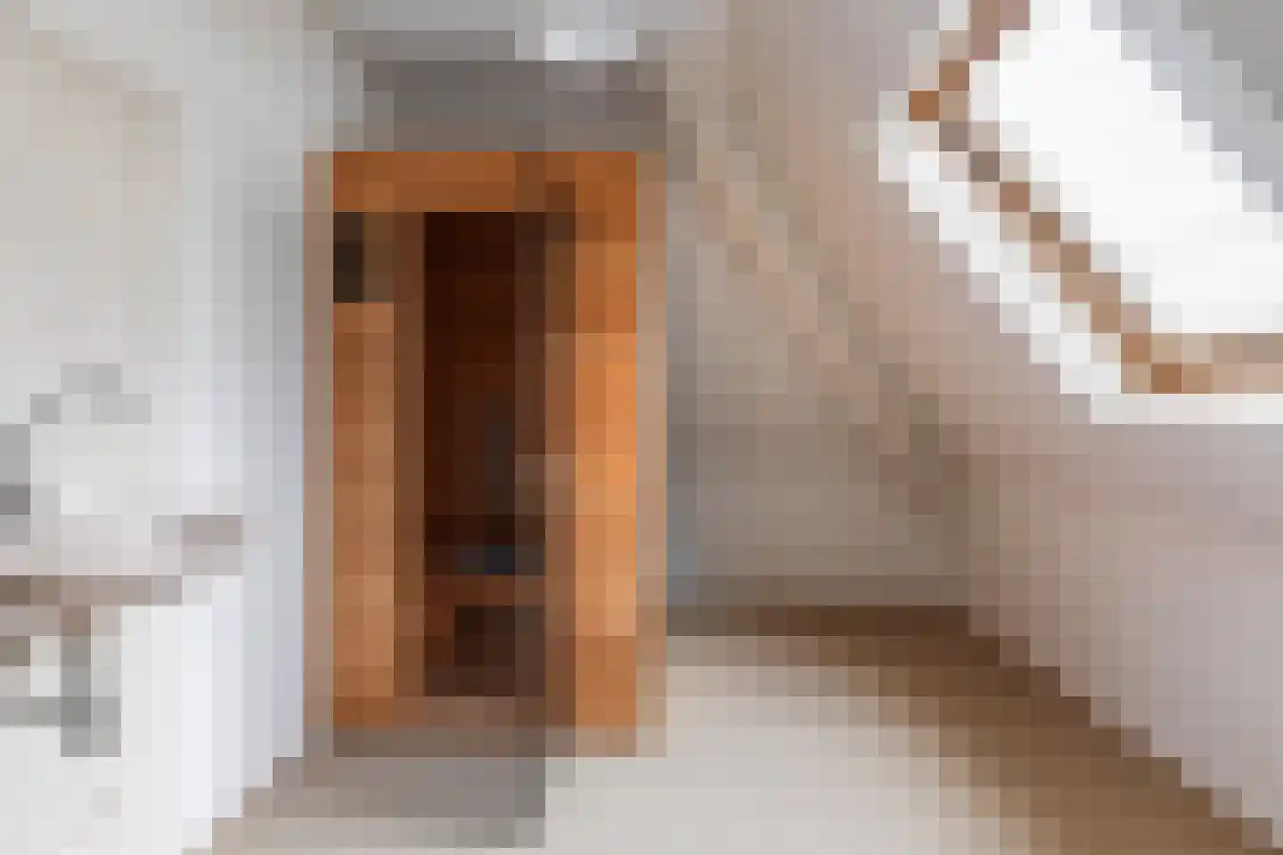 Father Raatgerstraat 7 Rossum thumbnail 24