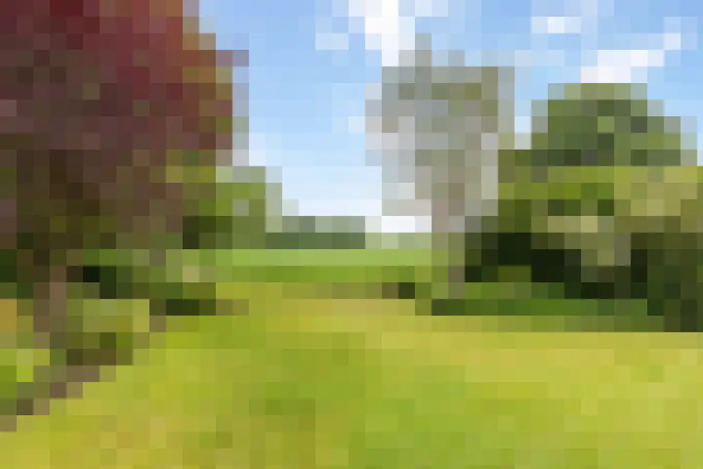 Father Raatgerstraat 7 Rossum thumbnail 4
