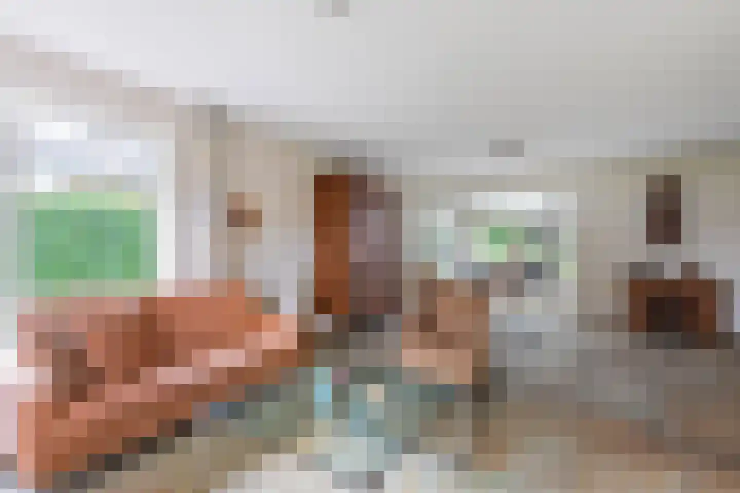 Father Raatgerstraat 7 Rossum thumbnail 6