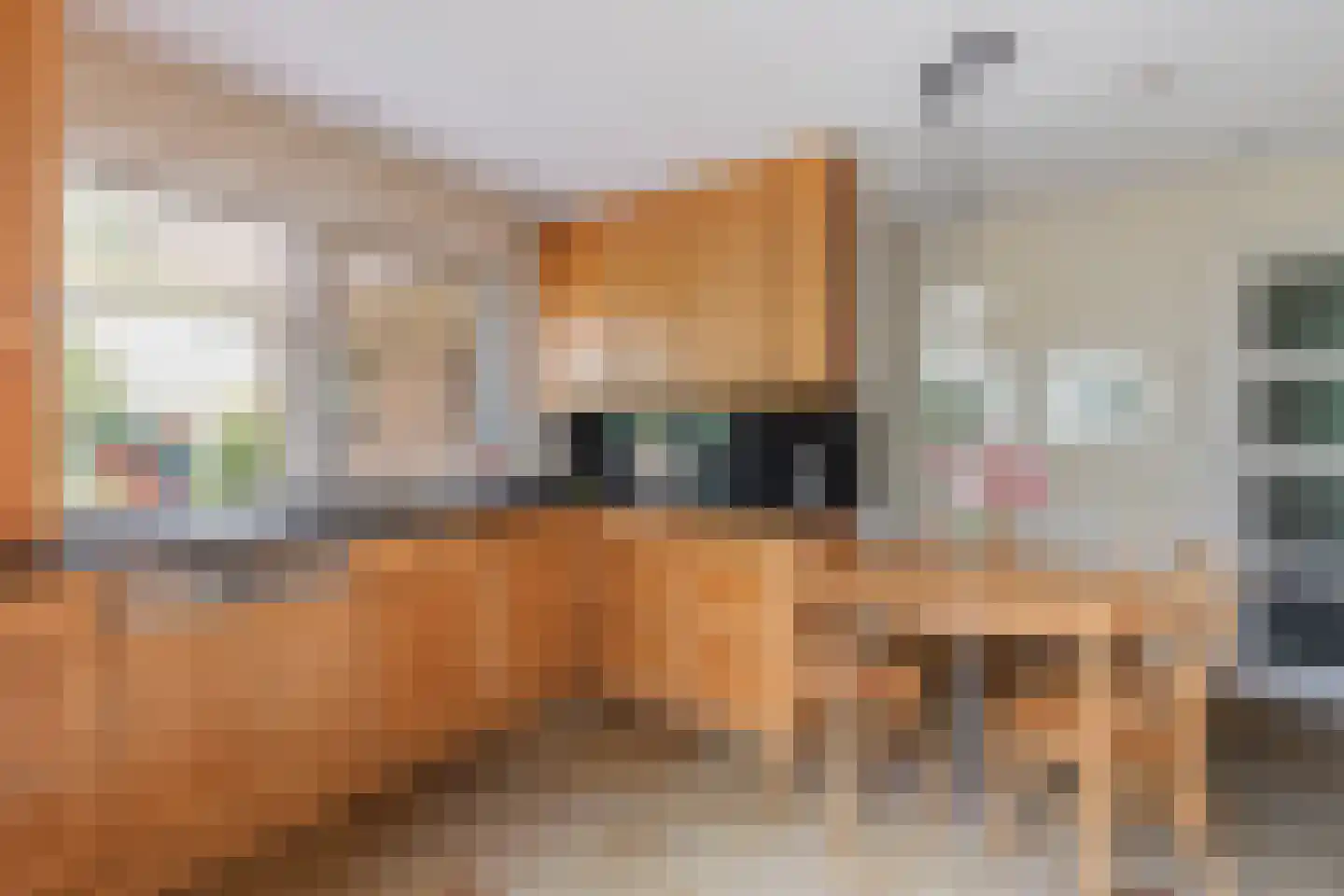 Father Raatgerstraat 7 Rossum thumbnail 7