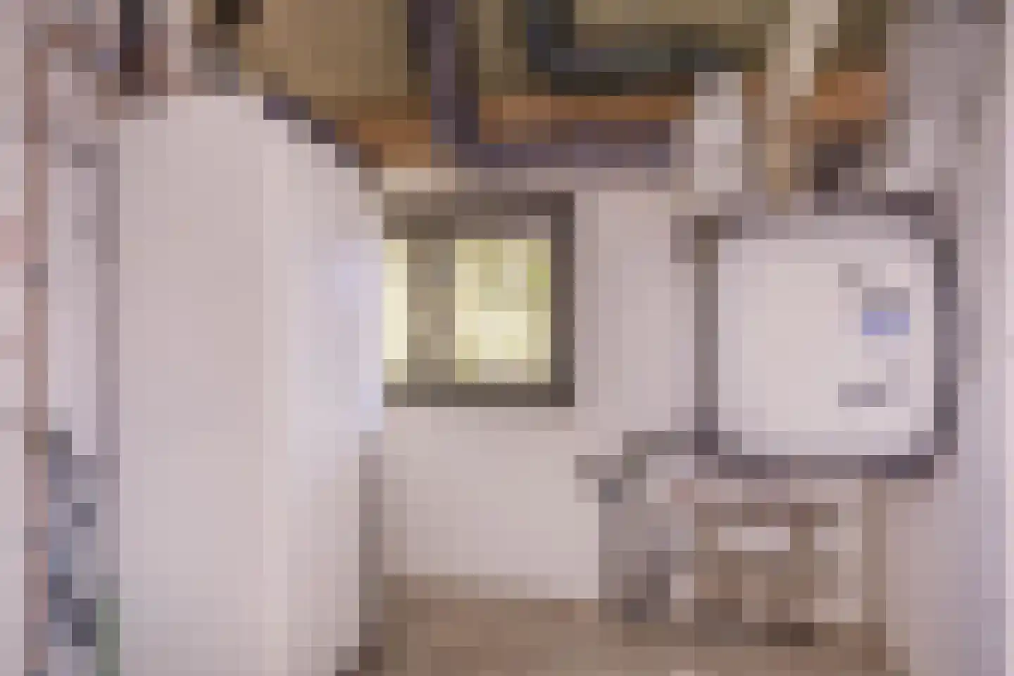 Fatimahof 1 Eindhoven thumbnail 29