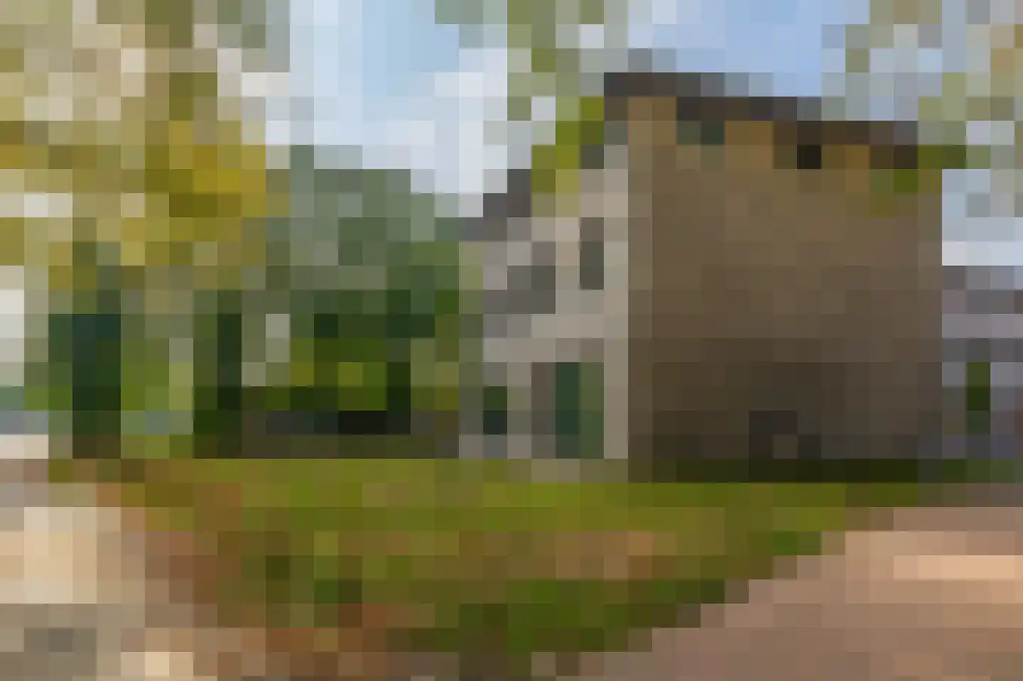 Fatimahof 1 Eindhoven thumbnail 38