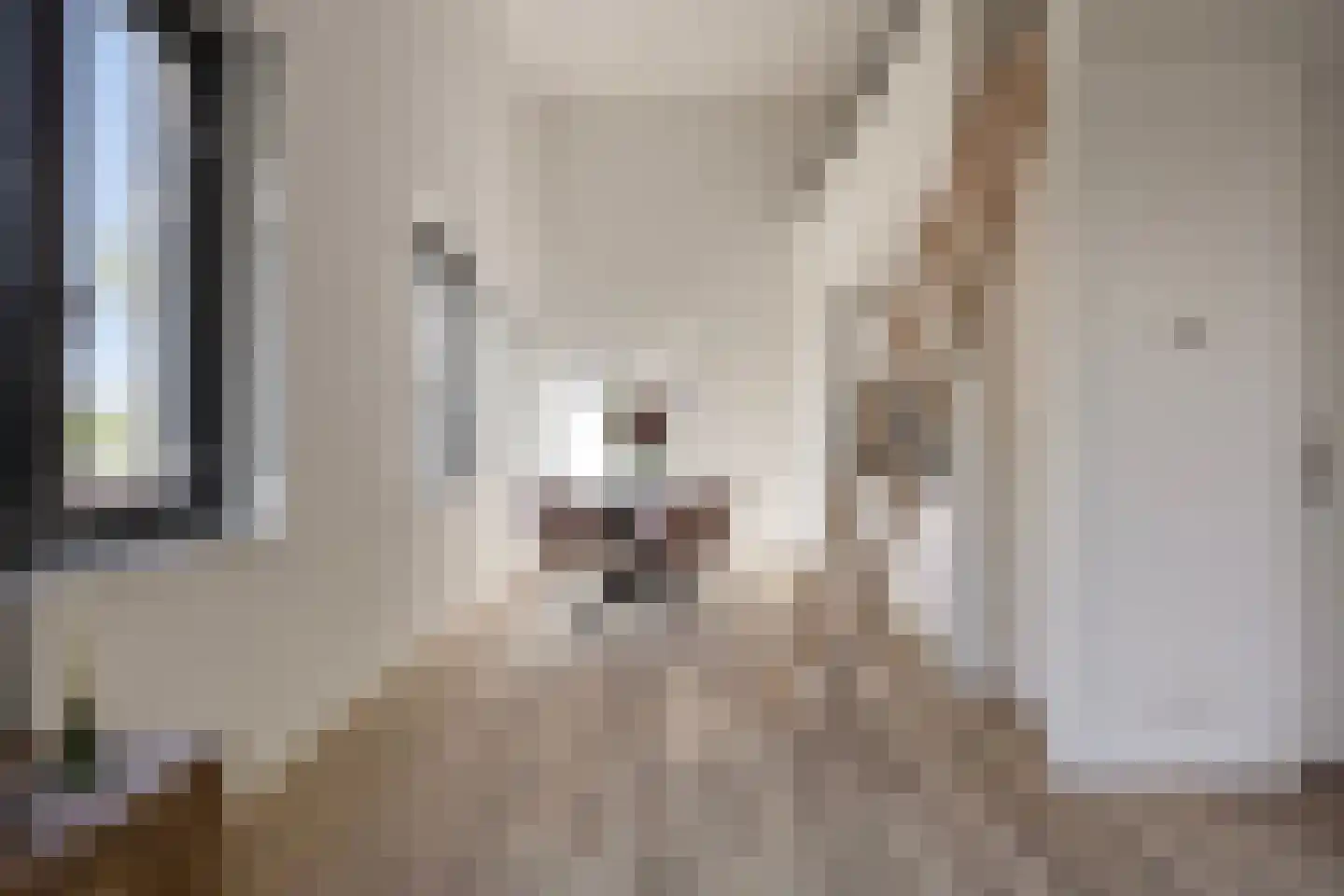 Fatimahof 5 Eindhoven thumbnail 11