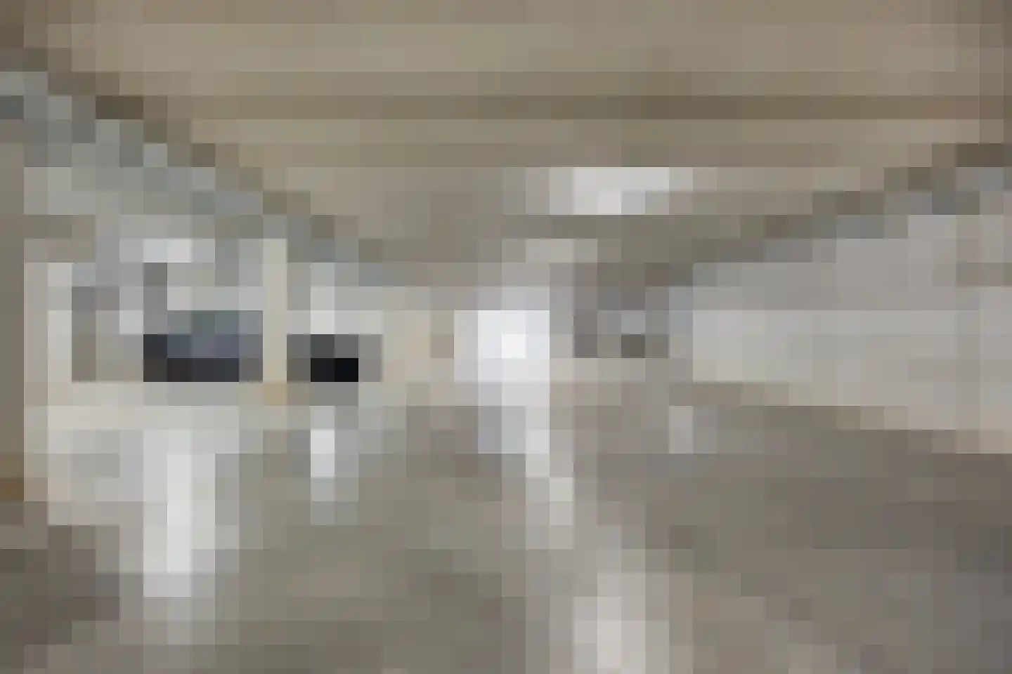 Fatimahof 5 Eindhoven thumbnail 21