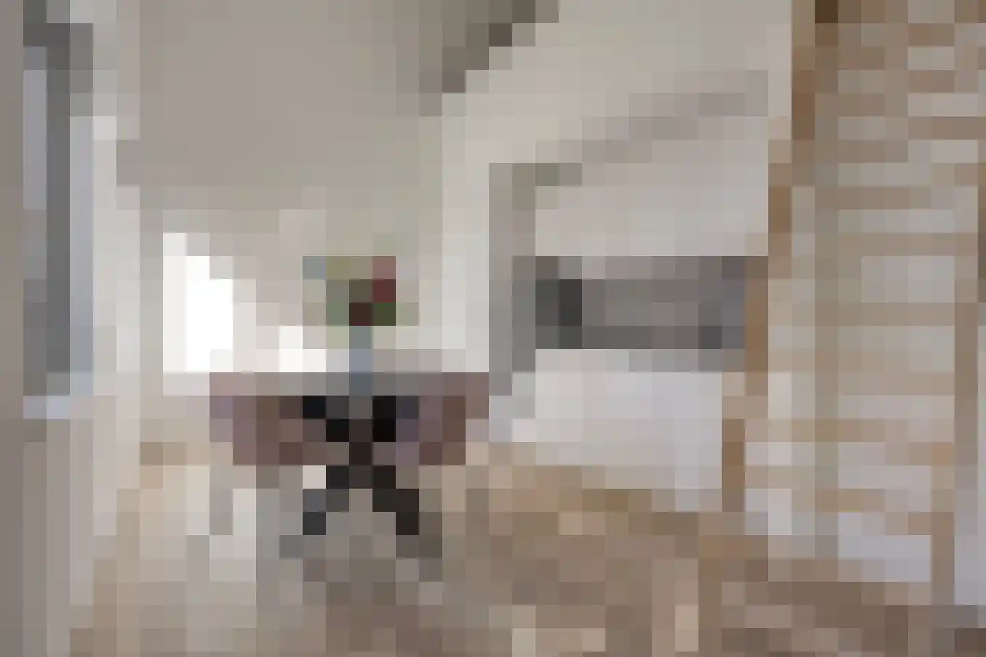 Fatimahof 5 Eindhoven thumbnail 7