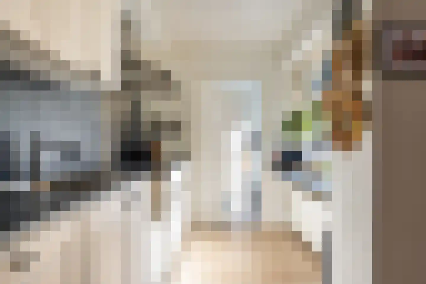 Fatimalaan 5 Roosendaal thumbnail 17