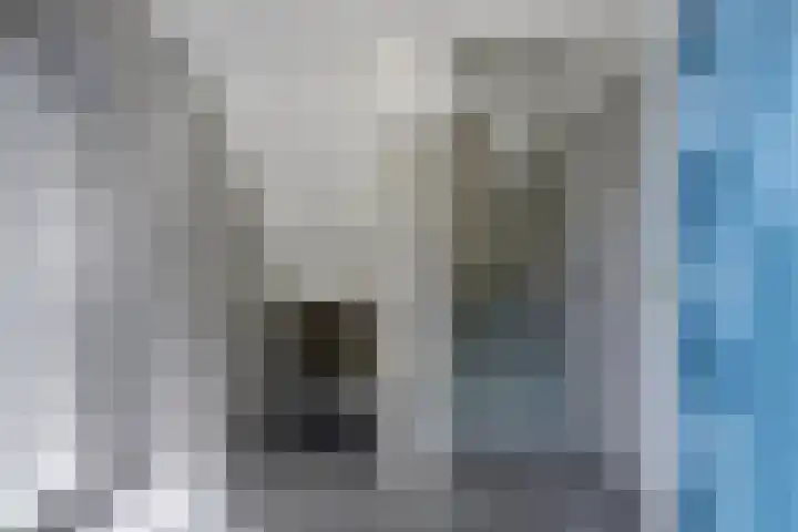 Fatimaplein 16 Maastricht thumbnail 19
